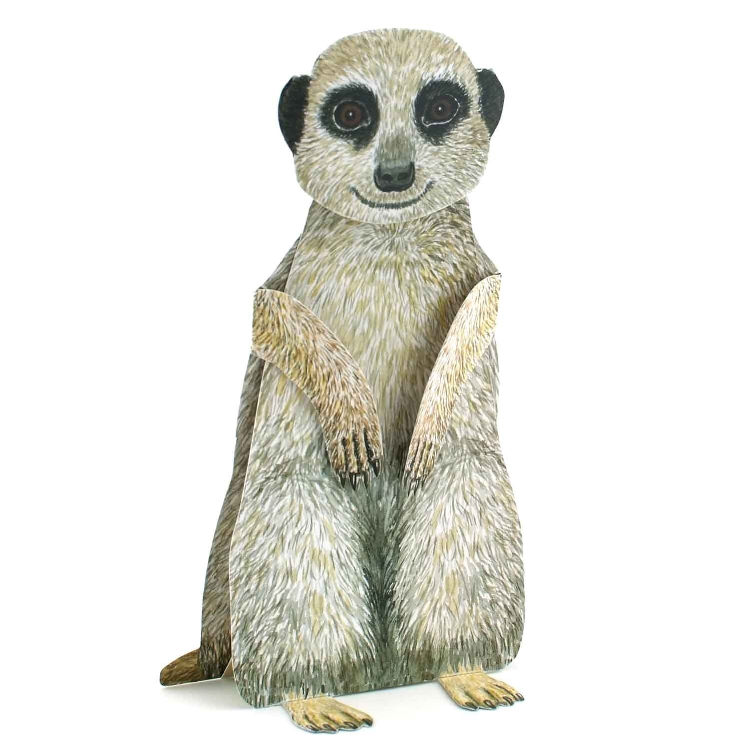 Carte pliante animal 3D "Suricate"